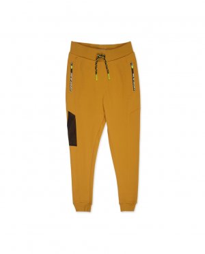 Спортивные трикотажные брюки желтого цвета для мальчика , желтый Tuc