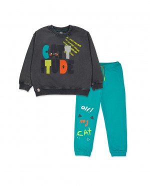 Комплект для мальчика из толстовки и спортивных штанов на кулиске , темно-серый Tuc