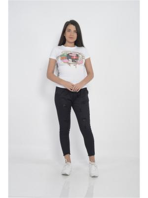 Интернет магазин shop for you. cb4bb2fd8646f212a56bd123ac39629d. Интернет магазин shop for you фото. Интернет магазин shop for you-cb4bb2fd8646f212a56bd123ac39629d. картинка Интернет магазин shop for you. картинка cb4bb2fd8646f212a56bd123ac39629d. Рубашка. Цвет: бледно-розовый. Сезон: лето. Состав: хлопок 95%, лайкра 5% Интернет магазин shop for you. cb4bb2fd8646f212a56bd123ac39629d. Интернет магазин shop for you фото. Интернет магазин shop for you-cb4bb2fd8646f212a56bd123ac39629d. картинка Интернет магазин shop for you. картинка cb4bb2fd8646f212a56bd123ac39629d. Рубашка. Цвет: бледно-розовый. Сезон: лето. Состав: хлопок 95%, лайкра 5%