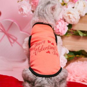Майка для домашних животных на День святого Валентина с текстовым принтом SHEIN. Цвет: оранжевый
