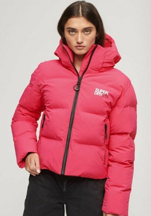 Куртка ПУХОВИК С КАПЮШОНОМ, цвет raspberry red Superdry